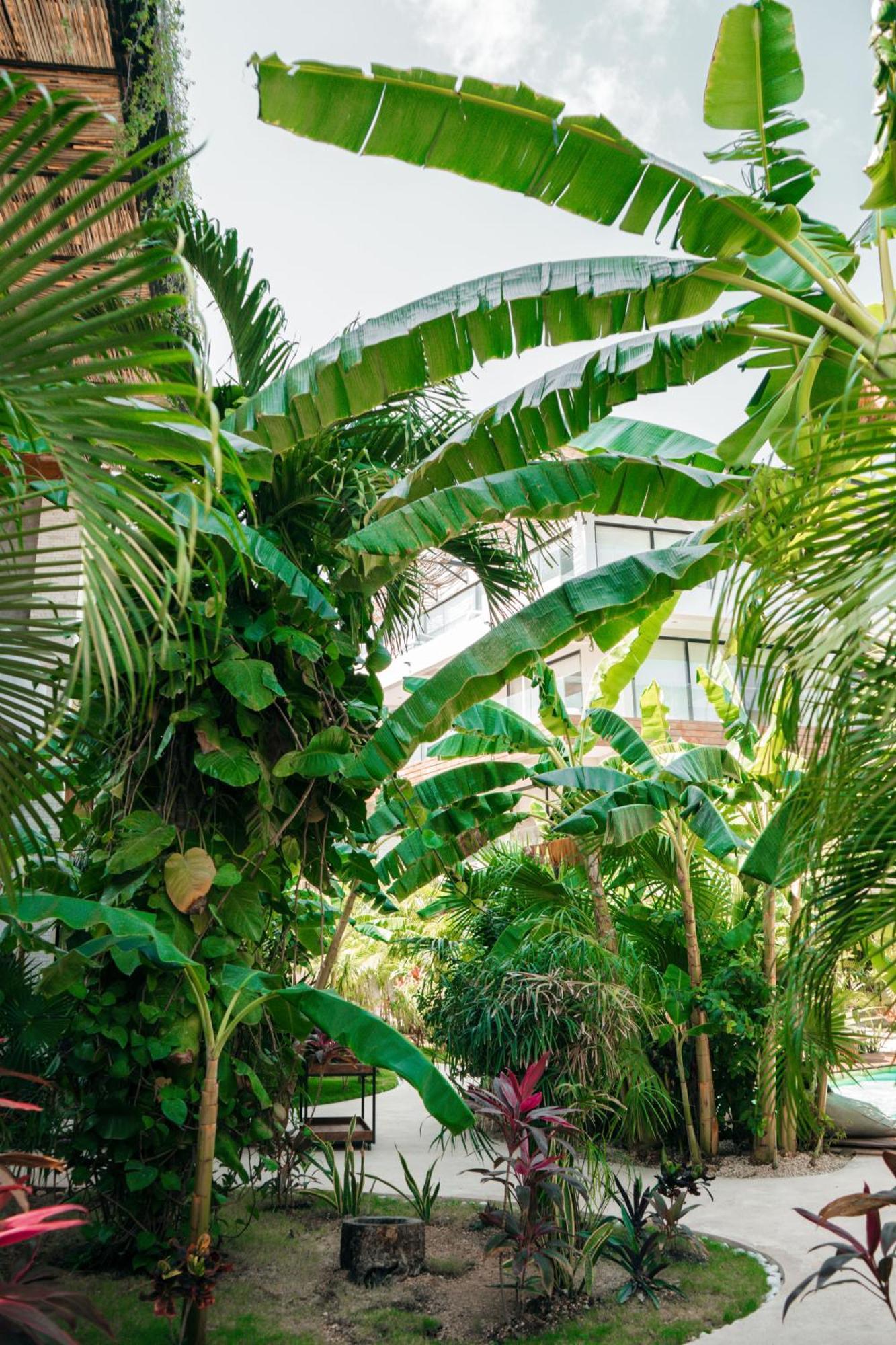 Kinah Retreat - Exclusive Boho Tropical Escape Apartamento Tulum Exterior foto